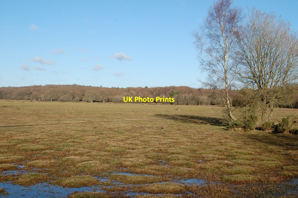 Photo 6"x4" Hummocky ground Balmerlawn c2012