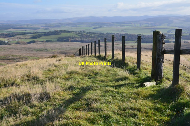 Photo 6"x4" Summit fence, King Seat (2) King Seat c2014