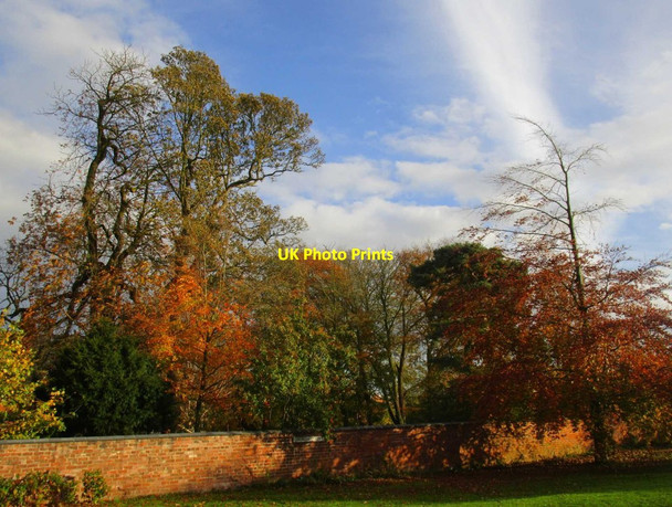 Photo 6"x4" Autumn in Hutton Hutton\/TA0253 c2014