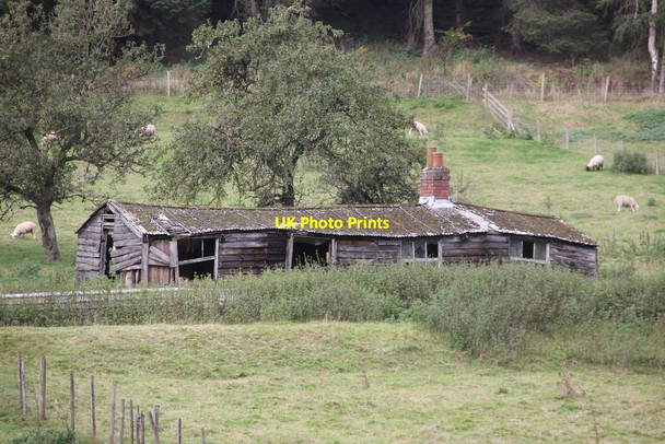 Photo 6"x4" Tumbledown building Thornton Dale Low Dalby c2014