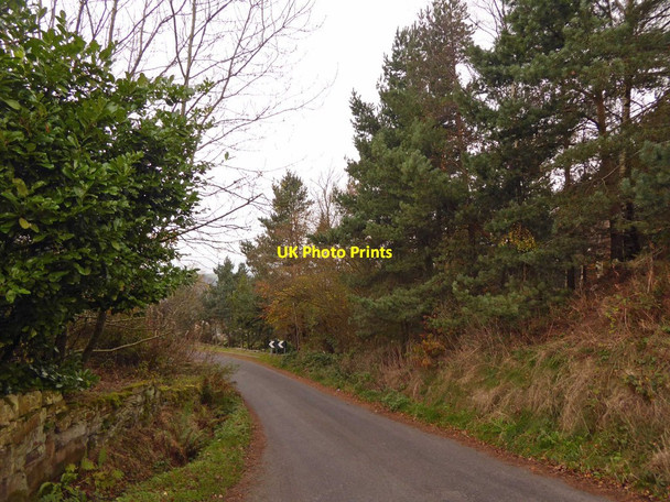 Photo 6"x4" A quite steep Halstead Lane Holmfirth c2014