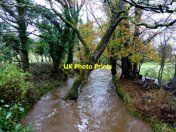Photo 6"x4" Ballynamullan Burn, Mullaghmore \/ Cranny Omagh c2014