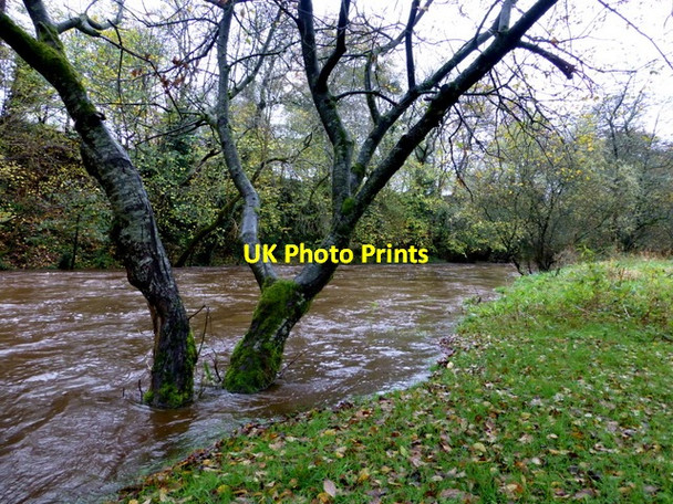Photo 6"x4" Camowen River, Mullaghmore Omagh c2014