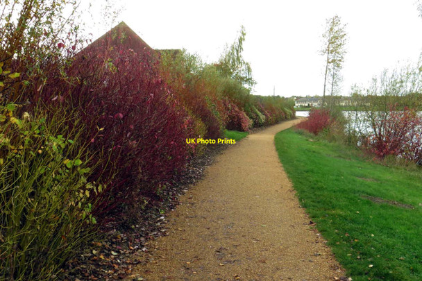 Photo 6"x4" Circular Walk around Furzton Lake Milton Keynes c2014