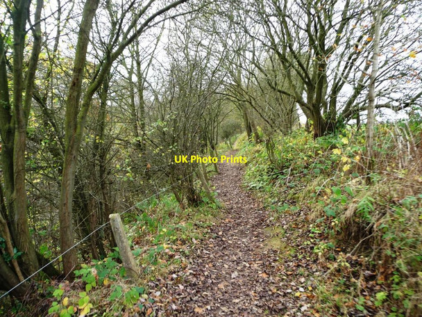 Photo 6"x4" Footpath from Swanwick Junction to Butterley Ripley\/SK4050 c2014