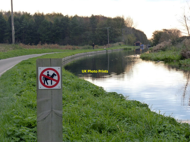 Photo 6"x4" Chesterfield Canal at Barnby Wharf Barnby Moor c2014