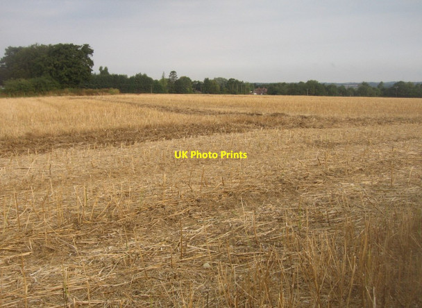 Photo 6"x4" Saltash Field (12 acres) Pardown c2014