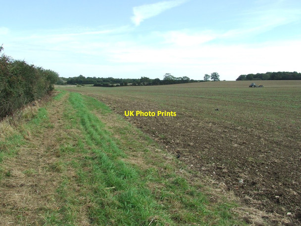 Photo 6"x4" Open Fields Heveningham c2014