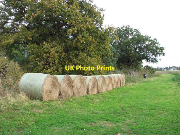 Photo 6"x4" Straw bales on field margin Thurlton Links c2014