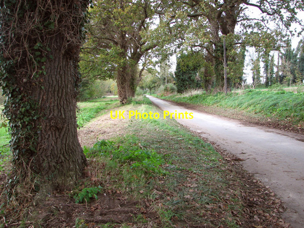Photo 6"x4" View along Boundary Road Thurlton Links c2014