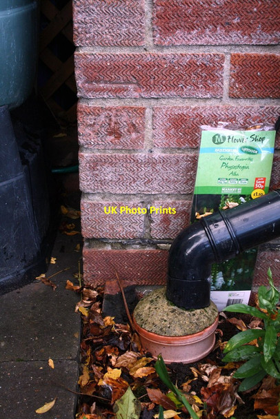Photo 6"x4" Benchmark on #55 Pitt's Lane New Town\/SU7373 c2014