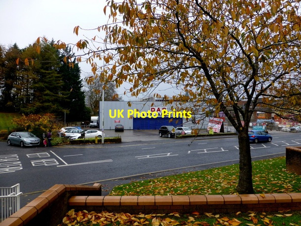Photo 6"x4" A tree shedding leaves, Dublin Road, Omagh Omagh c2014