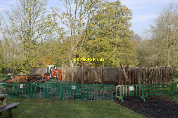 Photo 6"x4" Dismantling the Log Maze, Harlow Carr Gardens Harlow Carr c2014