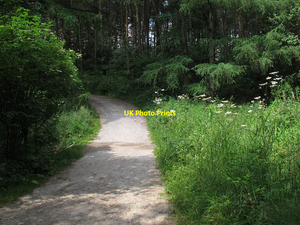 Photo 6"x4" Dry stream crossing Blackshaw Moor c2014