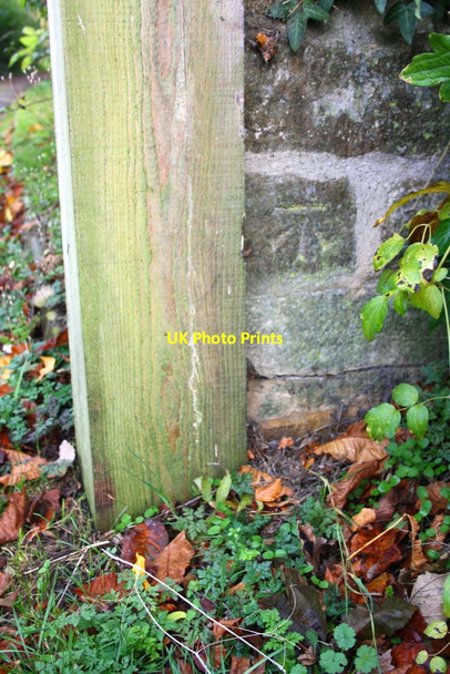 Photo 6"x4" Benchmark at gateway for road to Bladon Heath Woodstock\/SP4416 c2014