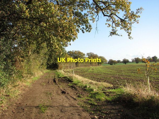 Photo 6"x4" Dove Lane West Poringland c2014