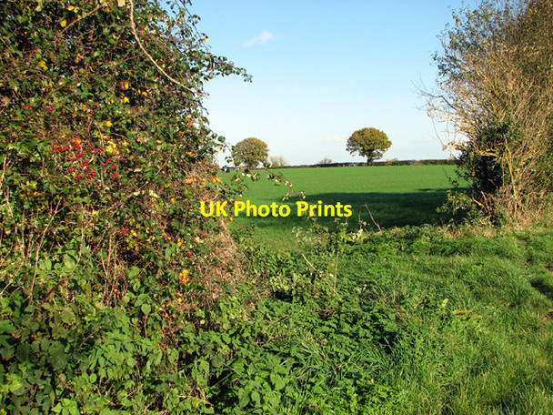Photo 6"x4" Fields north of Dove Lane West Poringland c2014