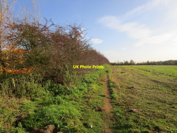 Photo 6"x4" Footpath to Elloughton from Ellerker Ellerker c2014