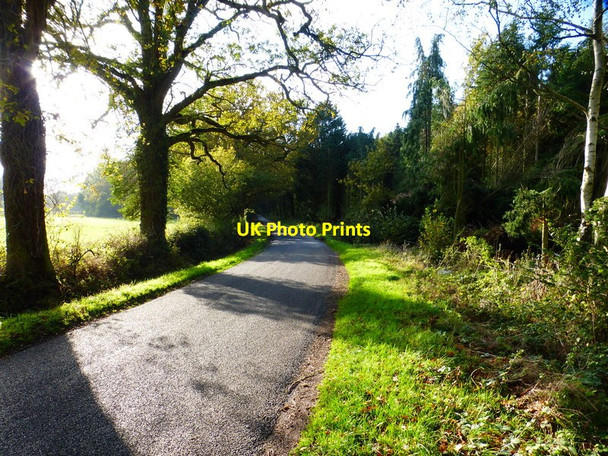 Photo 6"x4" Bend on Morgaston Road seen from the east Cufaude c2014