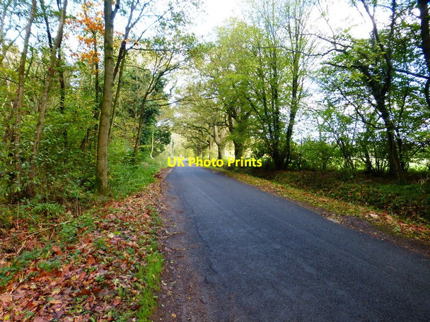 Photo 6"x4" Looking towards bend on Morgaston Road from the west Cufaude c2014
