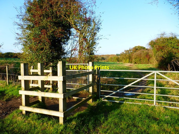 Photo 6"x4" Gates at footpath junction Sherborne St John c2014