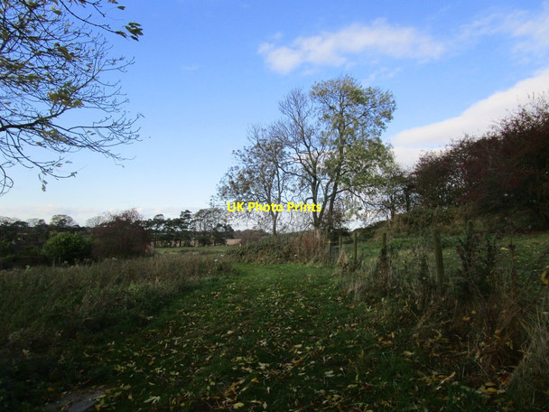 Photo 6"x4" Footpath near Manor Farm South Cliffe c2014