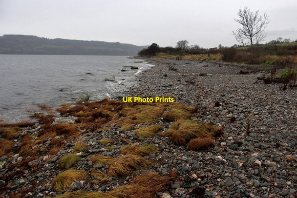 Photo 6"x4" Shoreline at Clate Point Clate Point c2014