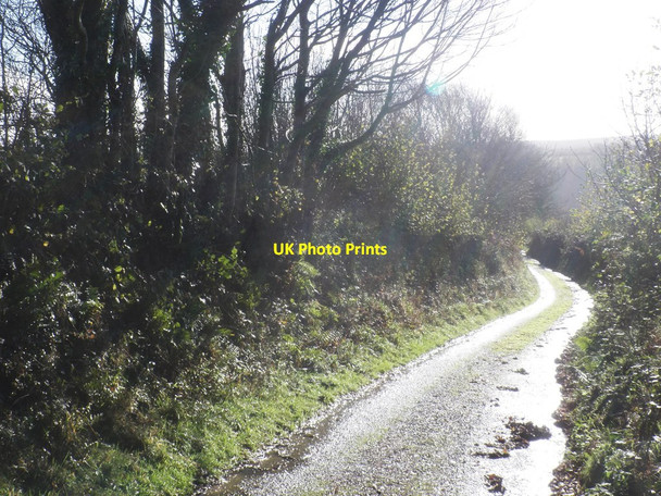 Photo 6"x4" Syndercombe Lane Clatworthy\/ST0530 c2014