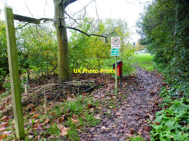 Photo 6"x4" What nonsense!! Lucas Green\/SU9459 c2014