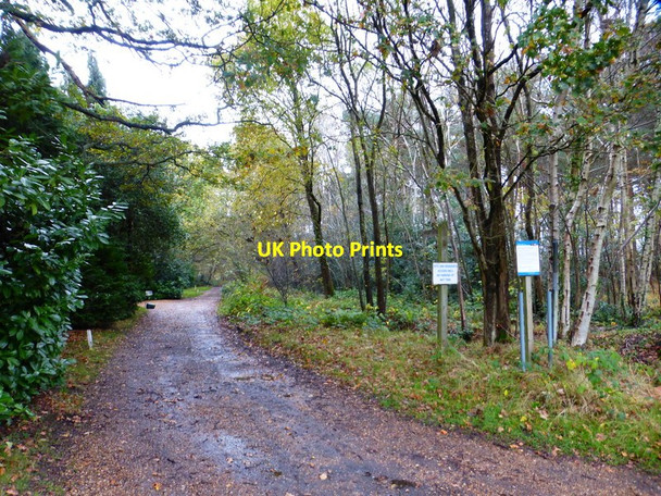Photo 6"x4" Footpath goes north from Brentmoor Road Donkey Town c2014