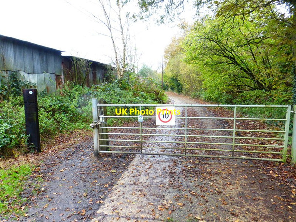 Photo 6"x4" Gate on bridleway known as Broadford Lane Chobham c2014