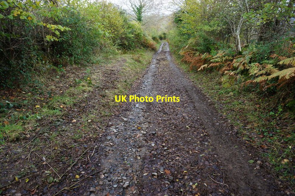 Photo 6"x4" Bridleway to Michelcombe Michelcombe c2014 P1