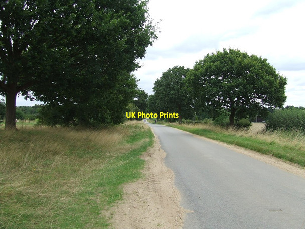 Photo 6"x4" Hollesley Road Eyke c2014