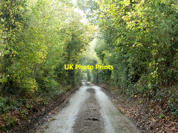 Photo 6"x4" Ledgemore Lane Jockey End c2014