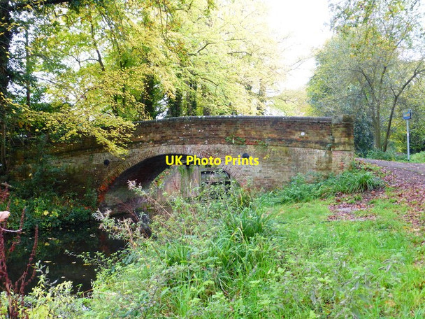 Photo 6"x4" Bridge over Basingstoke Canal Woking c2014