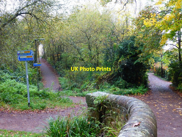 Photo 6"x4" Paths diverge going northwards from bridge over canal Woking c2014