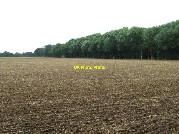 Photo 6"x4" Ploughed field Hales Street c2014