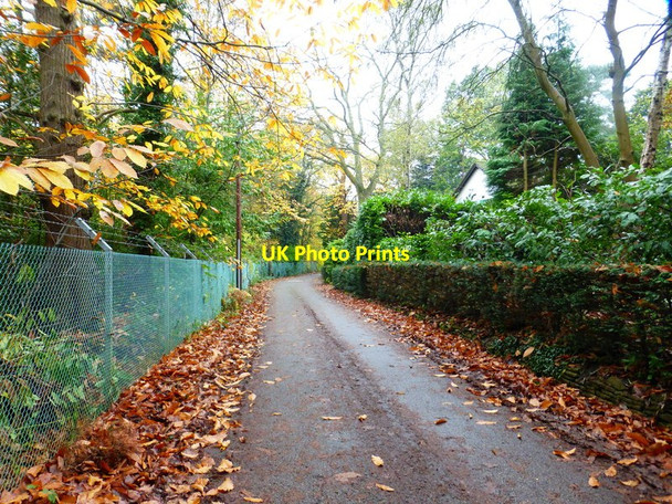 Photo 6"x4" Looking west on Firbank Lane Woking c2014