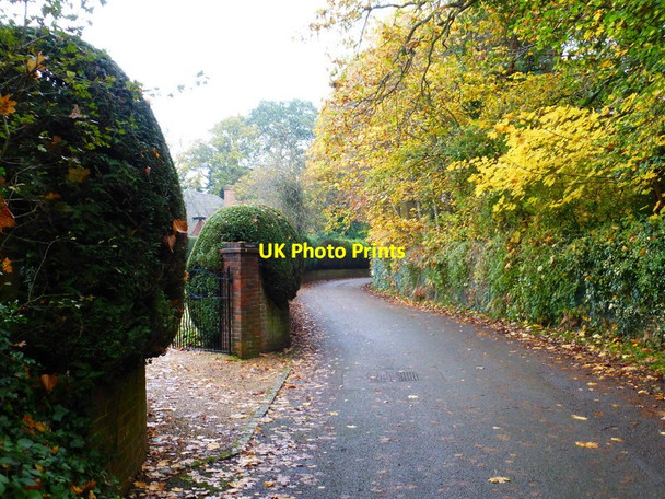 Photo 6"x4" Looking east on Firbank Lane Woking c2014