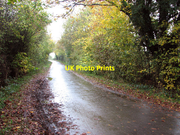 Photo 6"x4" Long Lane Bracon Ash c2014