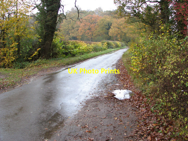 Photo 6"x4" View towards Woodlands Bracon Ash c2014