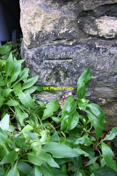 Photo 6"x4" Benchmark on 'Armada Cottage' Charlbury c2014