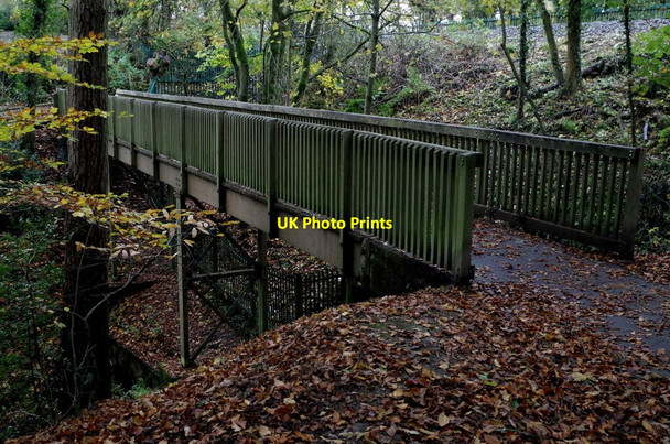 Photo 6"x4" Footbridge in Rock Park, Llandrindod Wells Llandrindod Wells\/Llandrindod c2014
