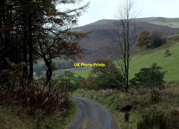 Photo 6"x4" Lane by forest Llanafan-fawr c2014