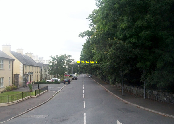 Photo 6"x4" View west along Main Street, Seaforde Seaforde c2014