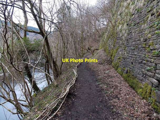 Photo 6"x4" Track along the west bank of the River Taff from Pont-y-gwaith Abercynon c2014