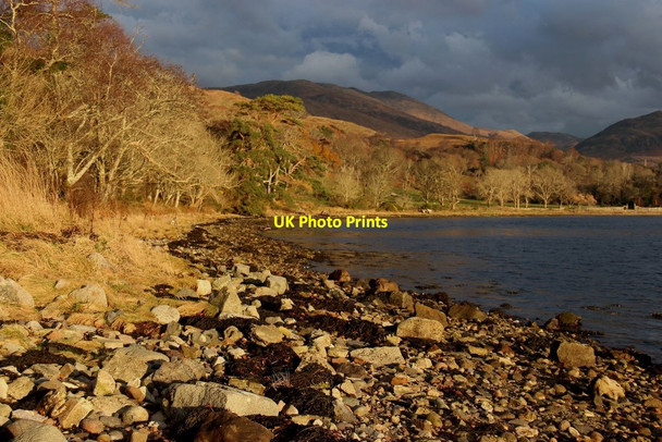 Photo 6"x4" Rubha Charsalich Inveresragan c2014