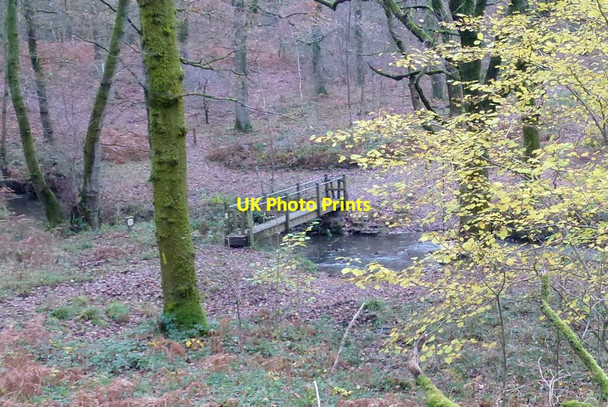 Photo 6"x4" Footbridge over the Cannop Brook, autumn 2014 Cannop c2014