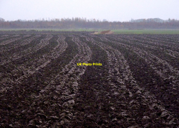 Photo 6"x4" Lincolnshire ploughland Thorpe St Peter c2014