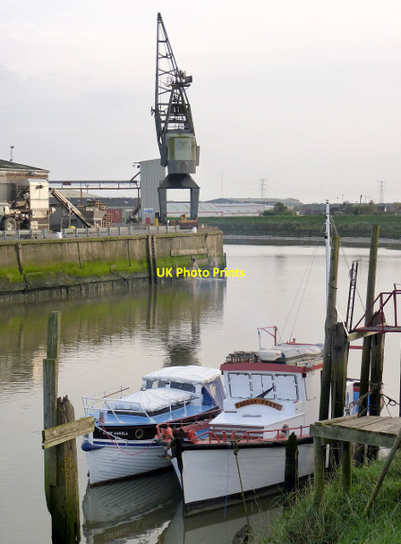 Photo 6"x4" Torbay Pearl in The Haven Boston c2014